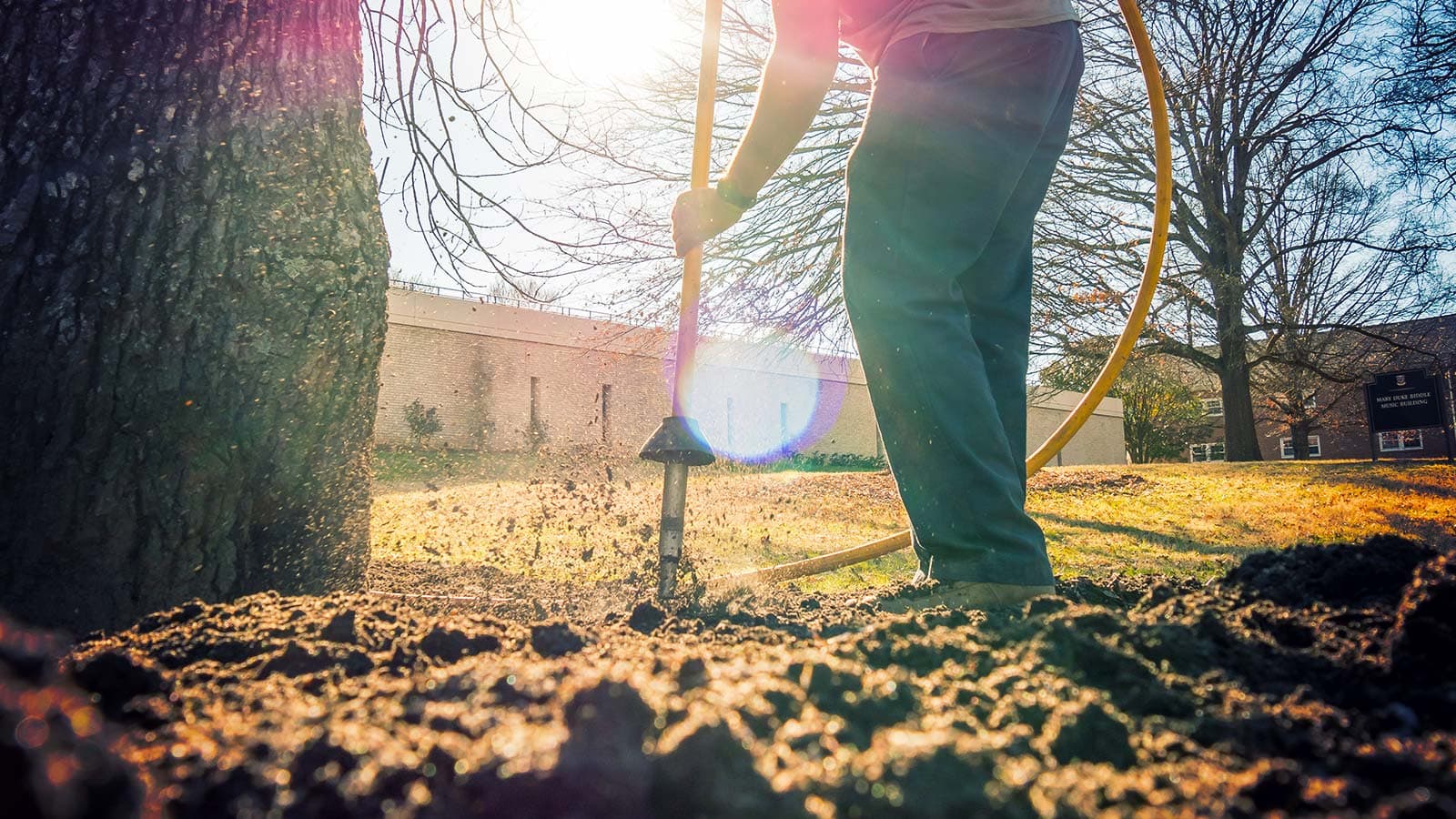 Soil Decompaction - An Essential for Good Tree Health