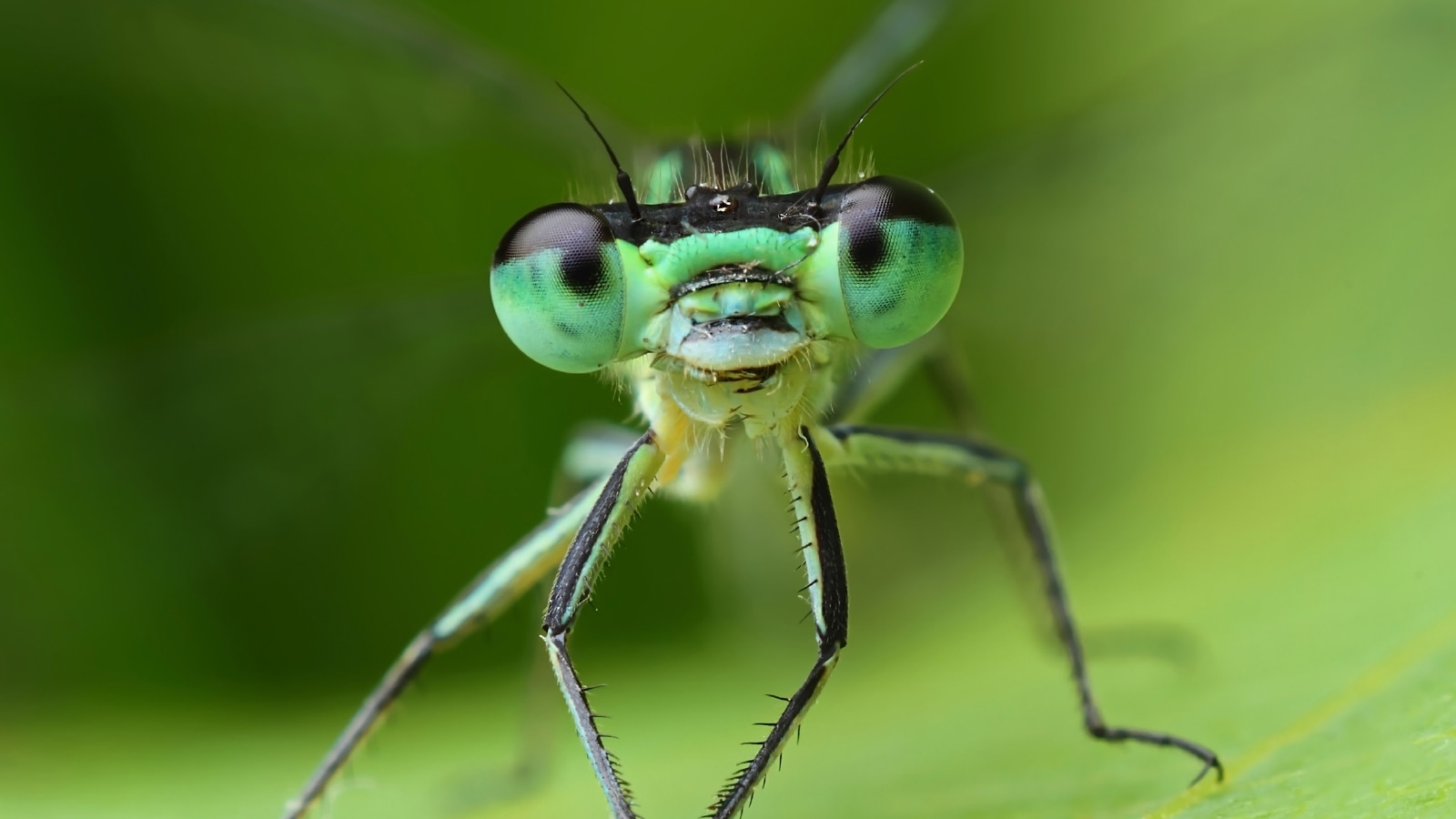 Setting the Stage—A Conversation About Why Change is Necessary