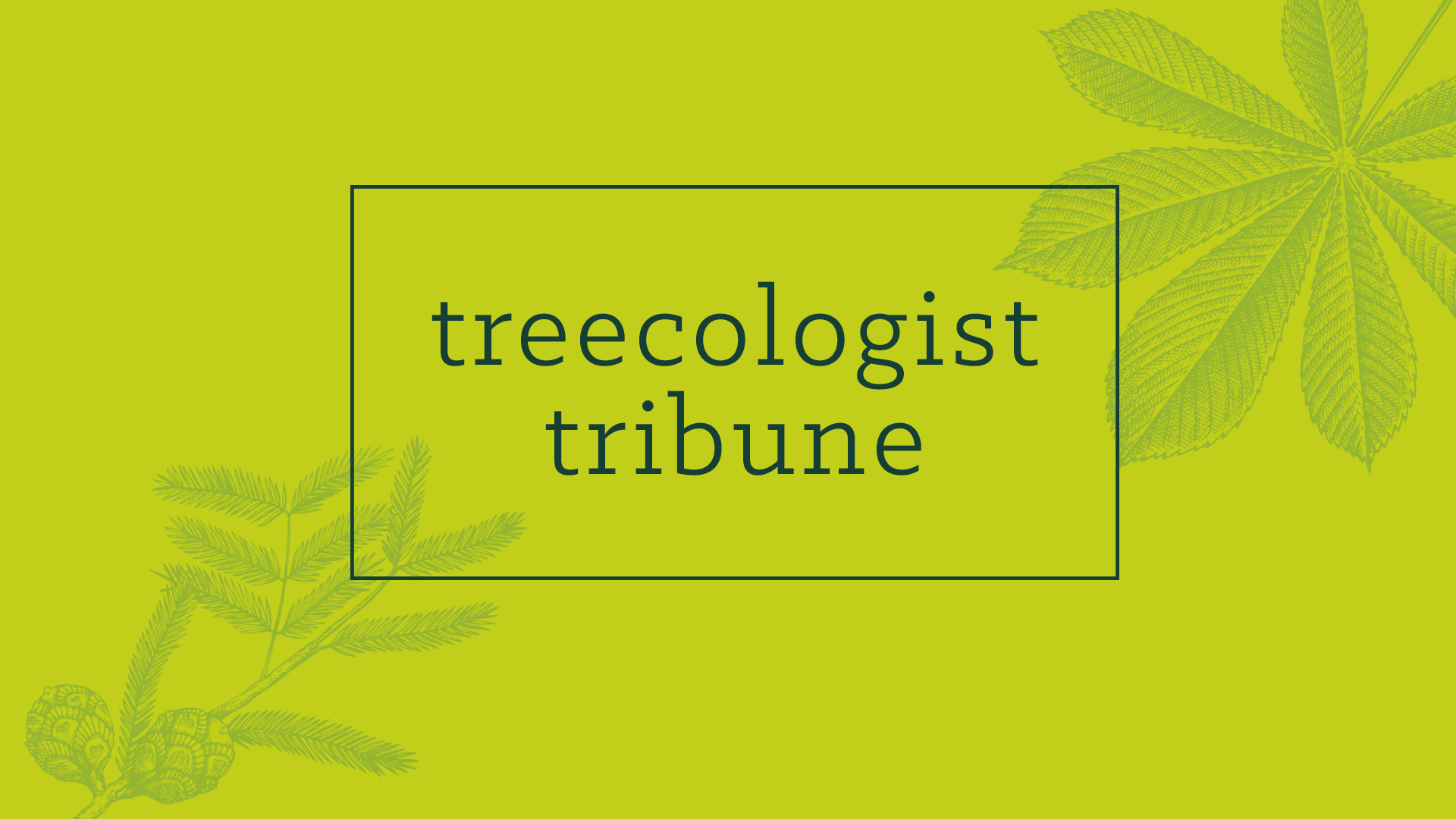 June 2025 Treecologist Tribune