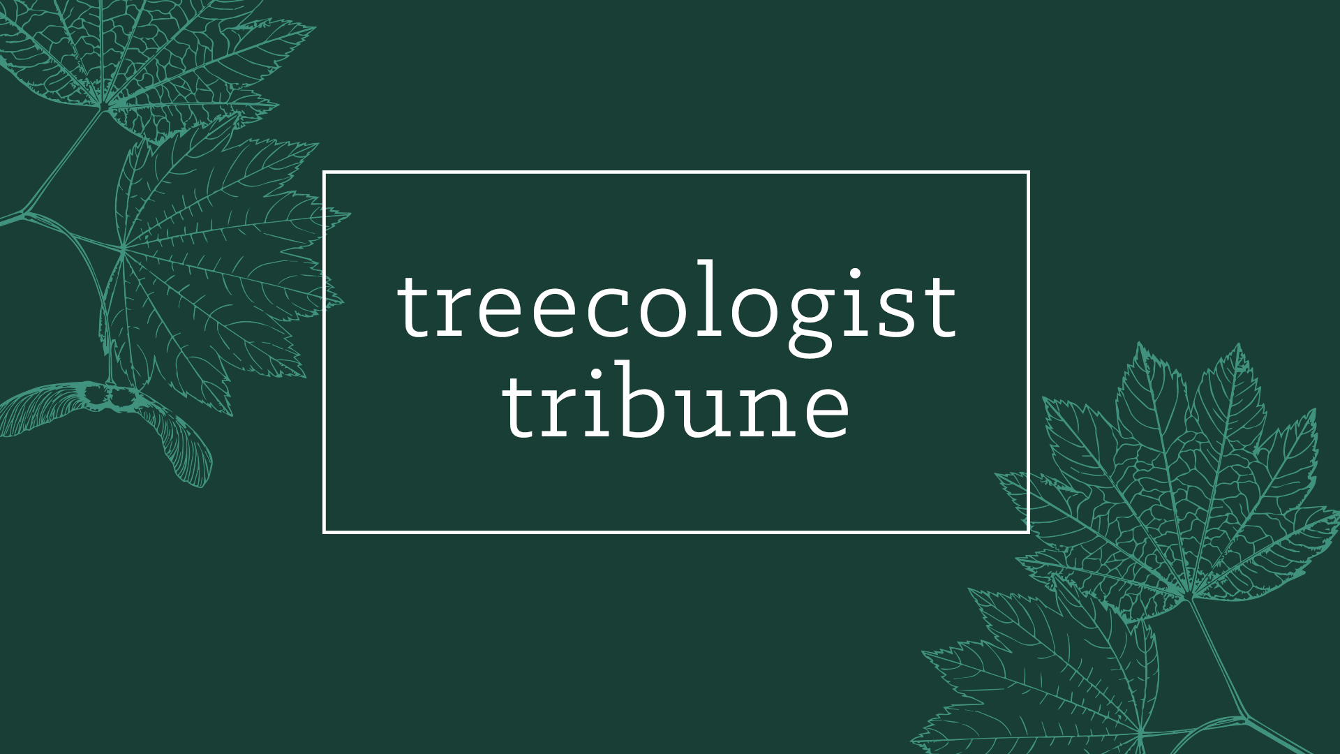 April 2025 Treecologist Tribune