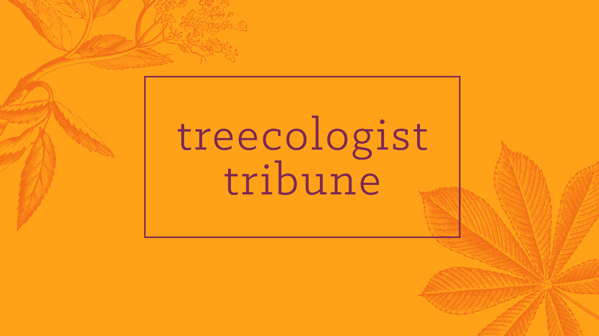 May 2025 Treecologist Tribune