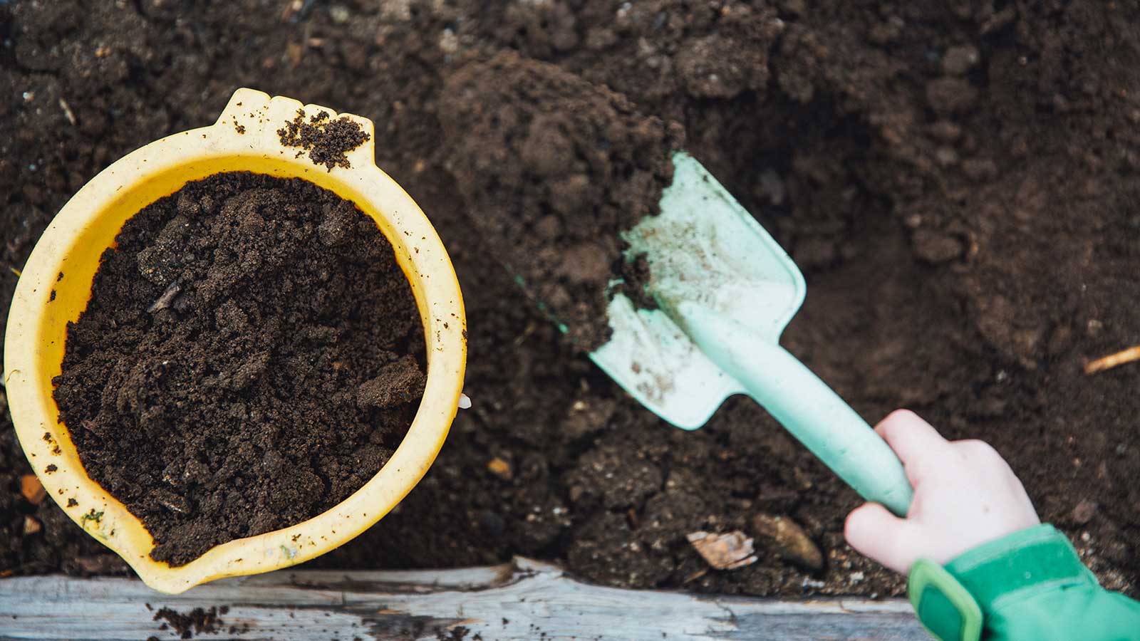 4 Options for Fertilizing Trees and Shrubs the Cheap, Easy, and Healthy Way