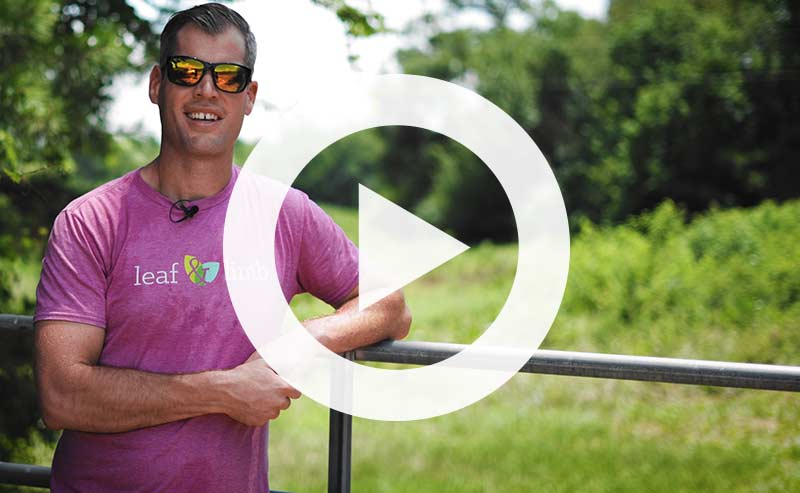 Video | Welcome to Project Pando