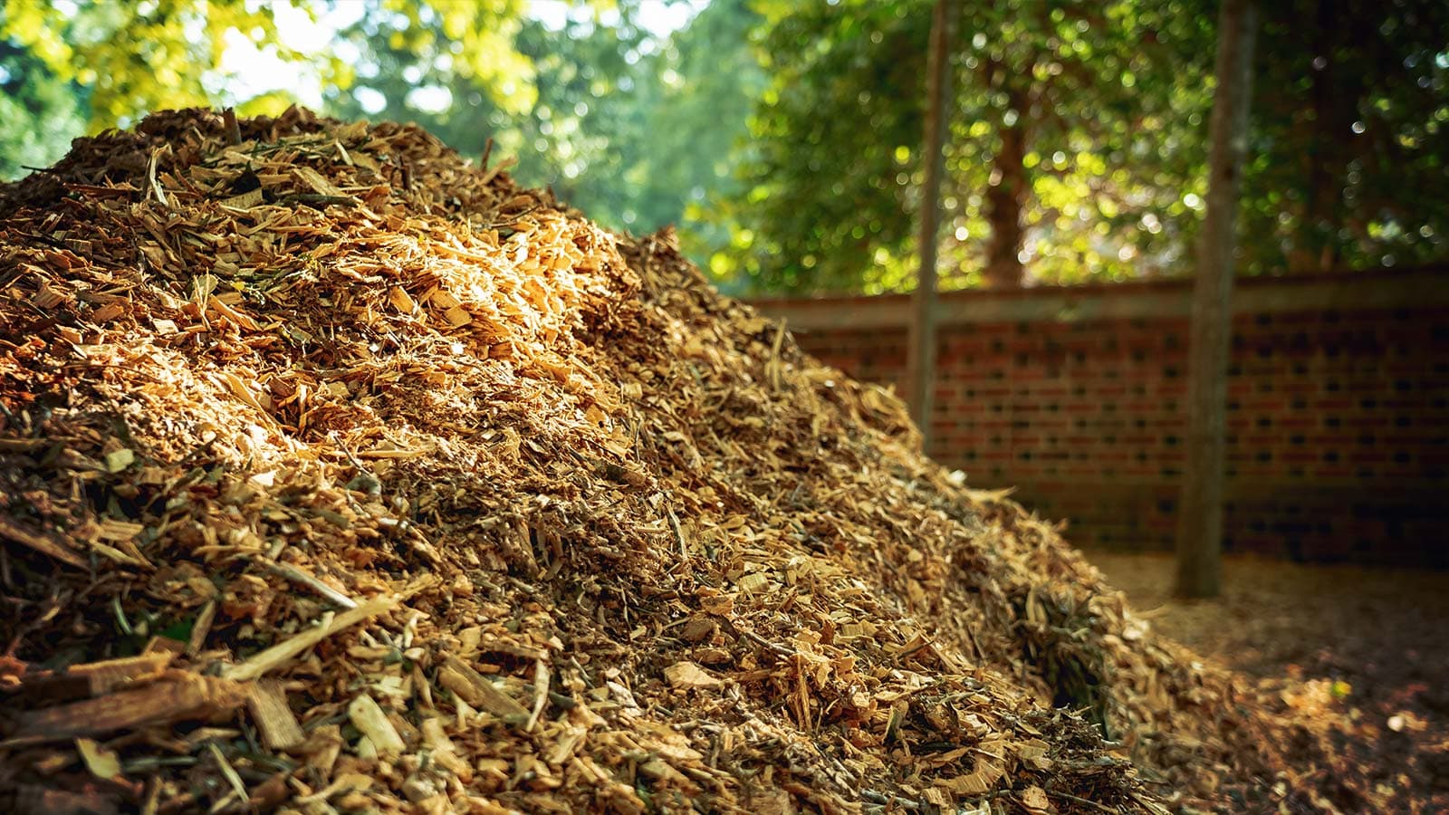 Too Many Choices: Which Mulch or Weed Barrier Should I Choose?