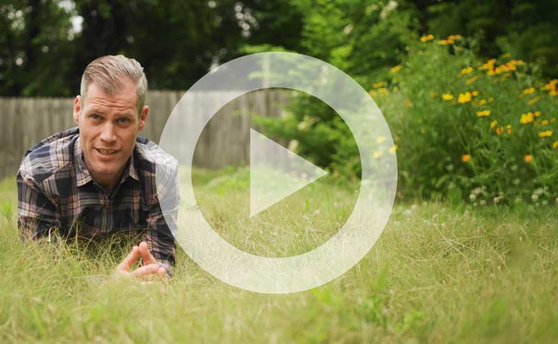 Video | Meadows, Thickets, and Pocket Forests: Going Beyond the Traditional Landscaping Model