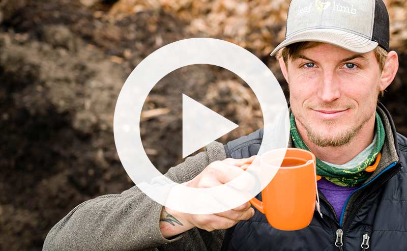 Video | Tea for Your Trees