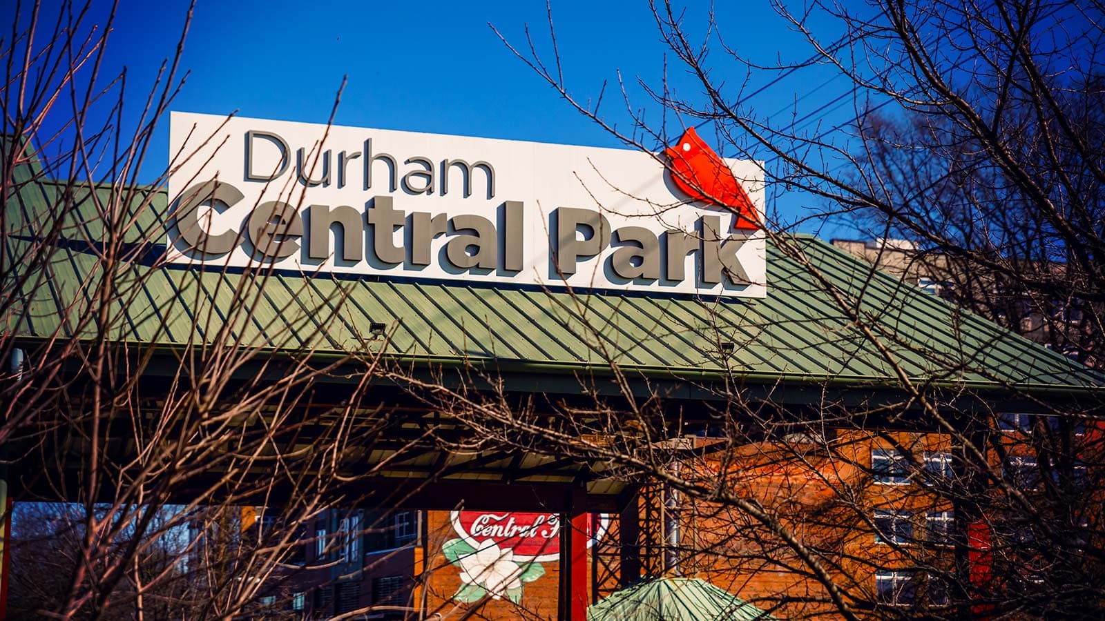 The Joy of Planting Native Trees in Durham, North Carolina