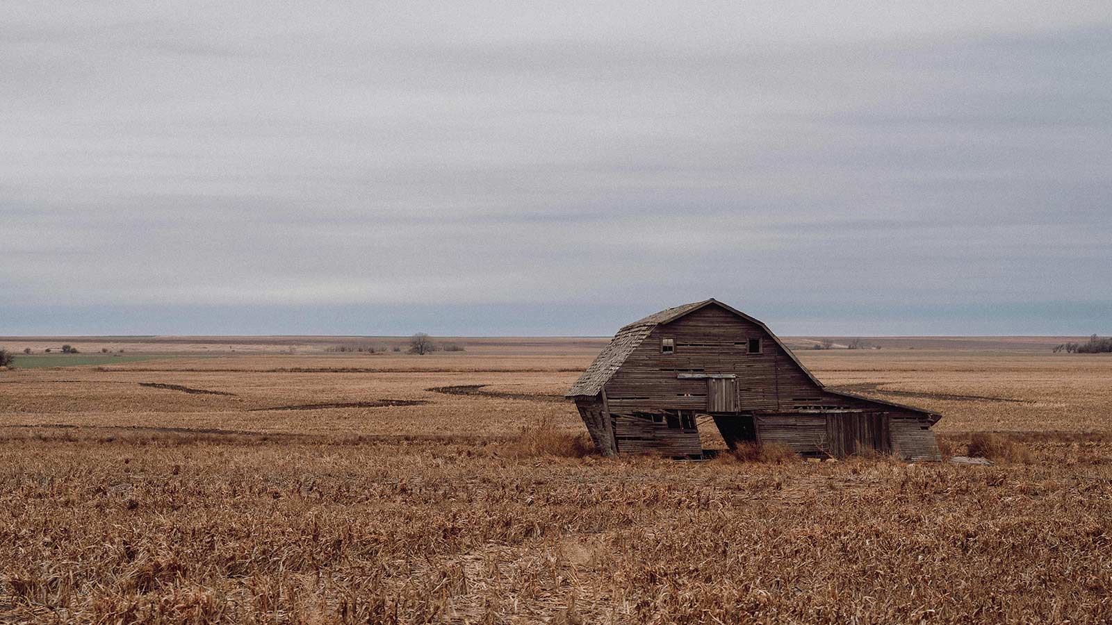 The Wild Frontier: What Remains of the Great American Grasslands