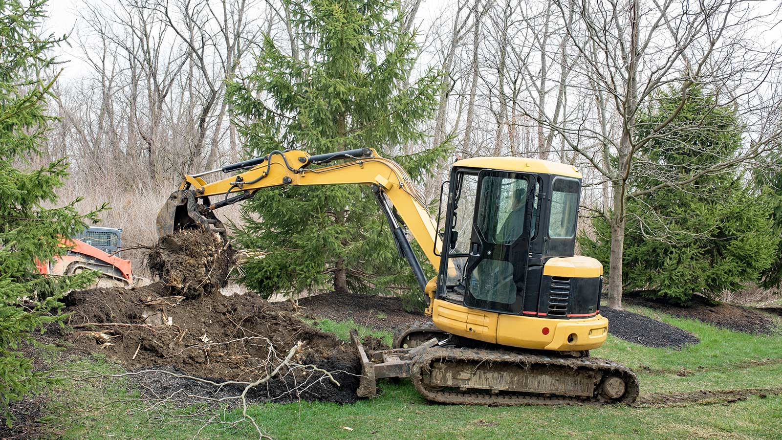 Root Awakening: How Construction Projects Can Trouble Your Tree