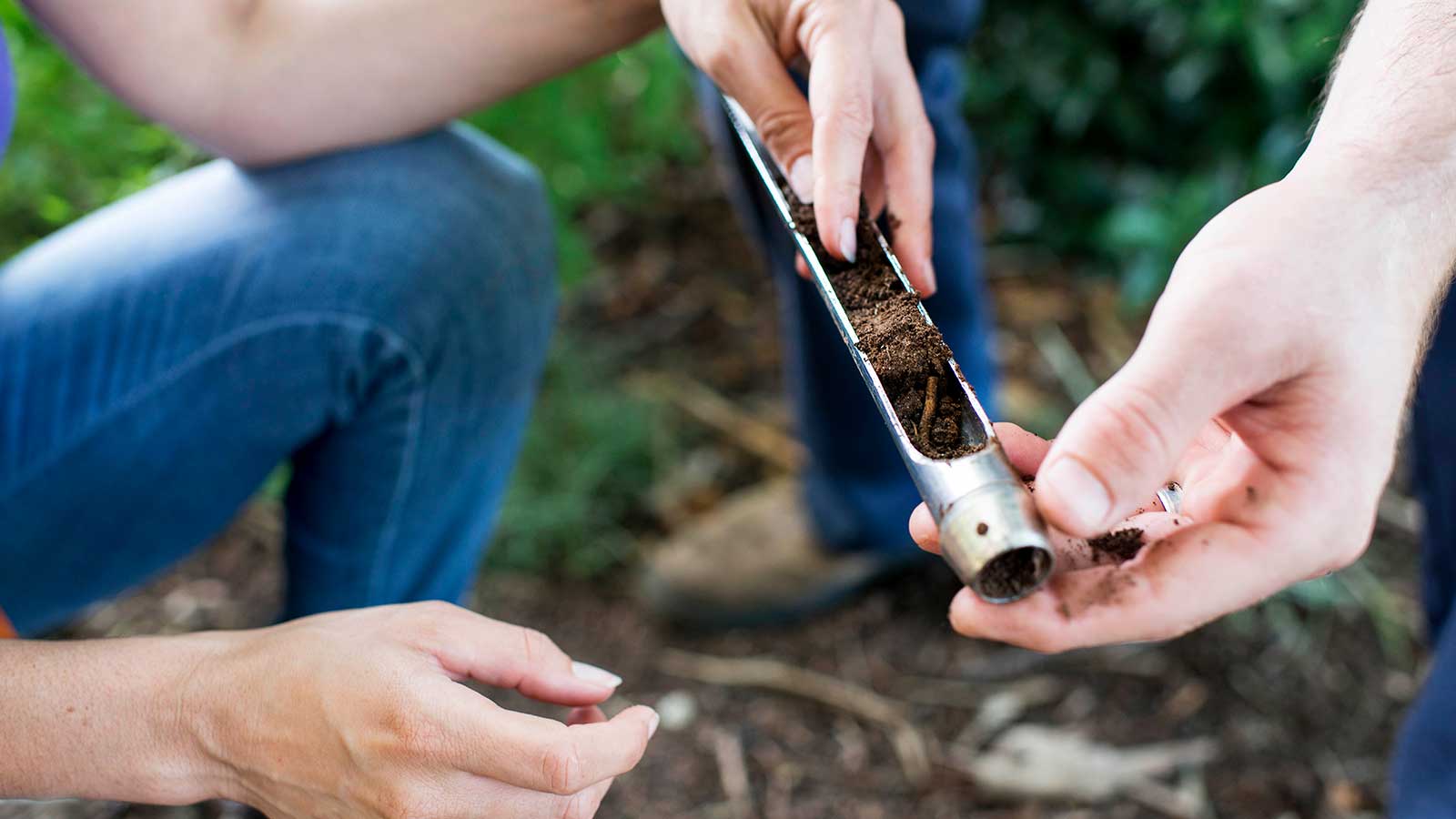 The #1 Reason Most Soil Tests Don't Work