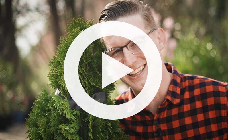 [Parody] Video | Introducing Timber: the Only Dating App for Trees