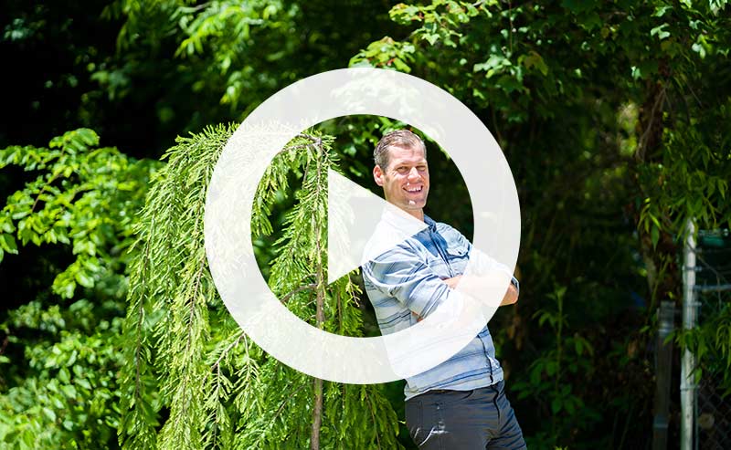 Video | 4 Fundamentals of Tree Care