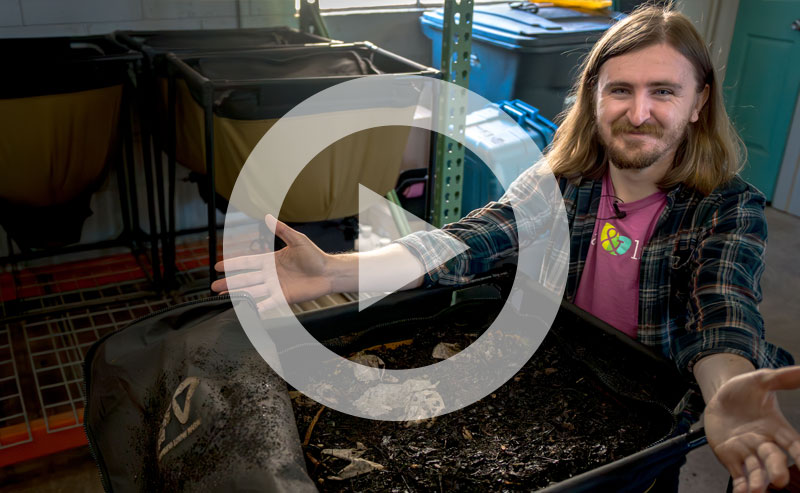 Video | What's the Secret Ingredient in Compost Tea? WORM POOP!