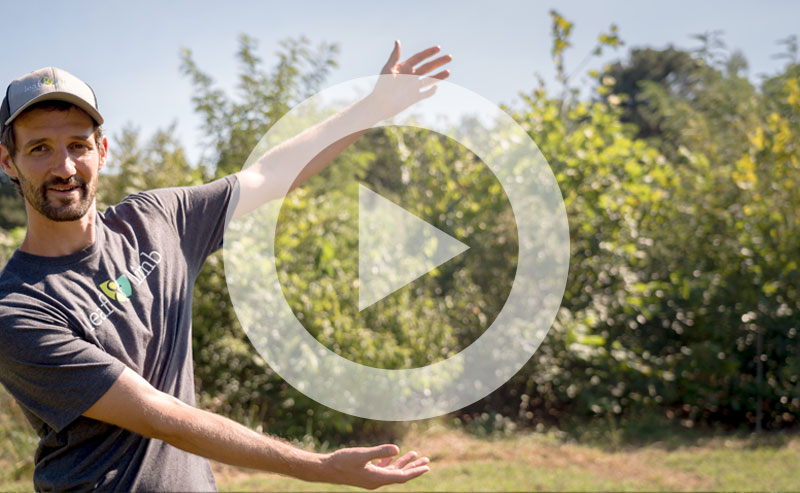 Video | Project Pando Needs Your Donations