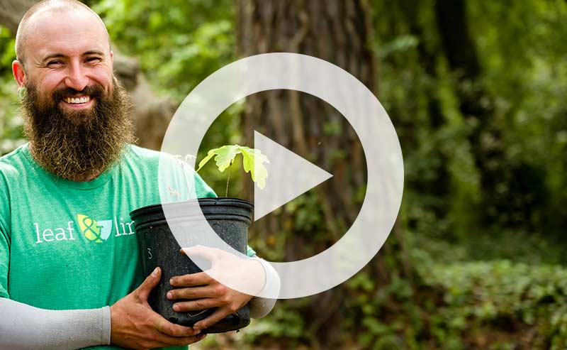 Video | Bigger is Not Always Better! Planting Small Can Lead to Big Benefits.