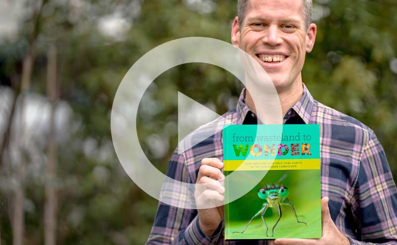 Video | Learn How to Save Time and Help Heal Earth in Our New Book