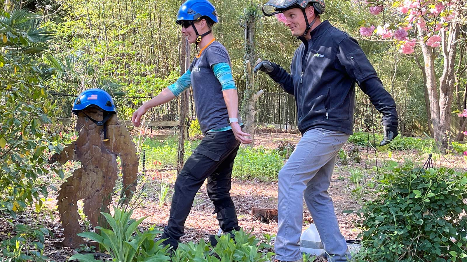 Point of View: 2024 Year in Review at Leaf & Limb